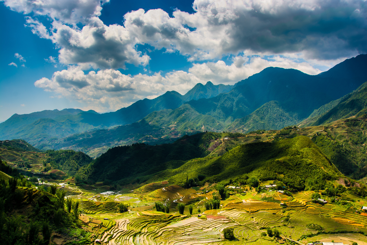 Terraced rice fields and misty mountains in Sapa, Northern Vietnam